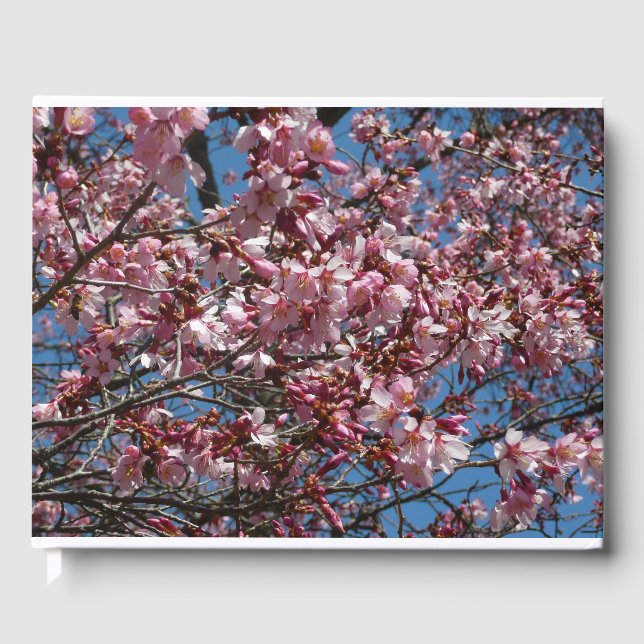 Livre D'or Cherry Blossoms et Blue Sky Spring Floral (Recto)
