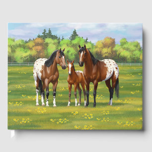 Livre D'or Chevaux Appaloosa De Baie Brown En Pâturage D'Été
