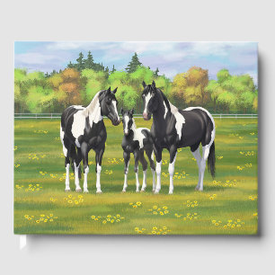 Livre D'or Chevaux De Peinture De Pinto Noir En Pâturage Été