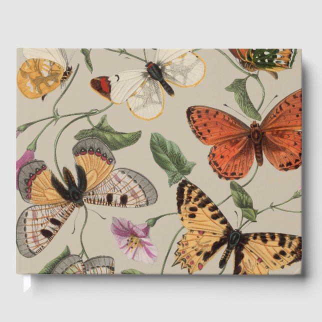 Livre D'or Collection de la papillon Moth Nature Dessin (Recto)