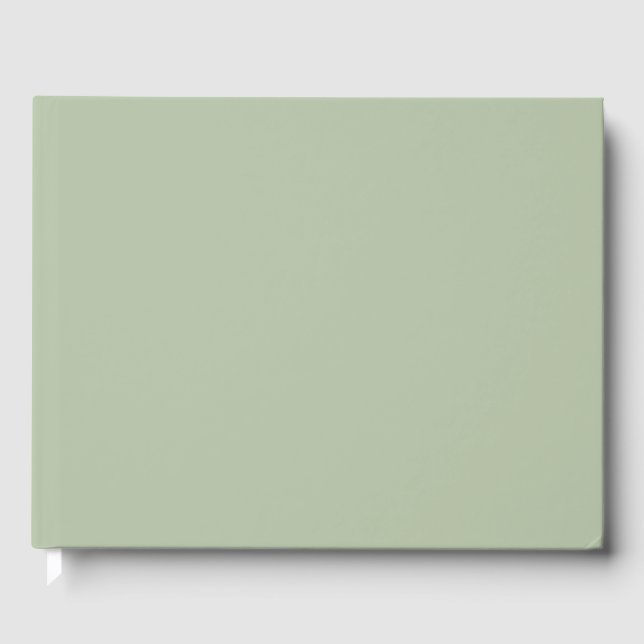 Livre D'or Couleur claire et verte (Recto)