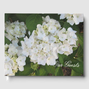 Livre D'or De magnifiques hortensias blancs