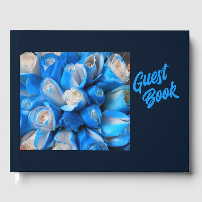 Livre D'or Diemudis (Recto)