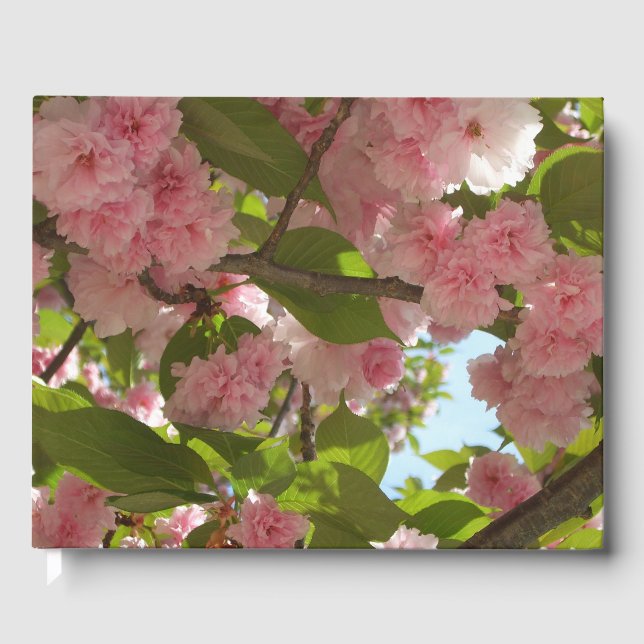 Livre D'or Double floraison cerisier III printemps fleuri (Recto)