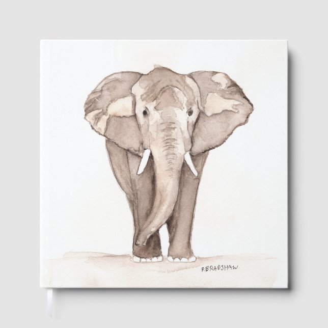 Livre d'or éléphant (Recto)