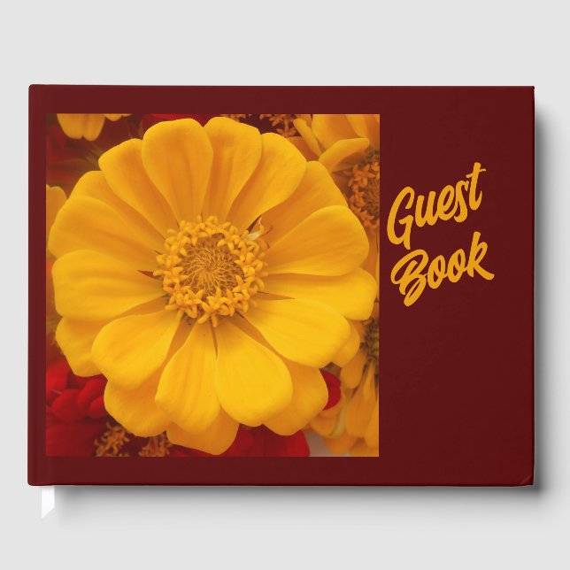 Livre D'or Emmer (Recto)