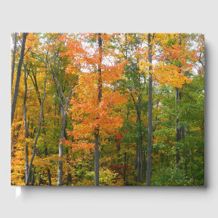 Livre D'or Érables en automne Photographie de la nature