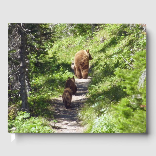 Livre D'or Famille d'ours brun (Recto)