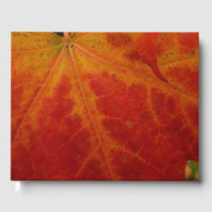 Livre D'or Feuille d'érable rouge Abstraite Automne Photograp