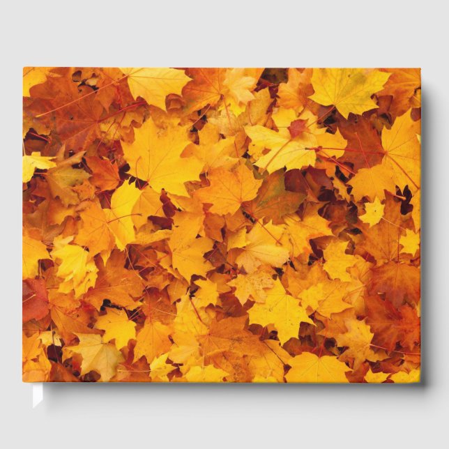 Livre D'or Feuilles d'automne (Recto)