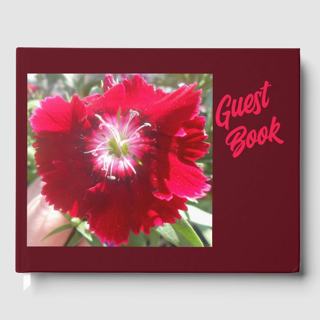 Livre D'or Geertje (Recto)