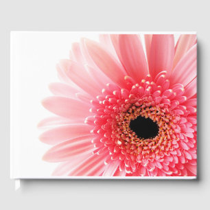 Livre D'or Gerbera Daisy