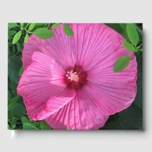 Livre D'or Hibiscus Bloom
