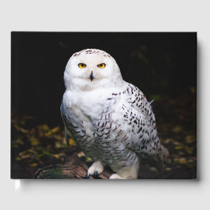 Livre D'or Hibou des neiges majestueux d'hiver