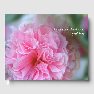 Livre D'or Hollyhock rose Floral Location de vacances photo