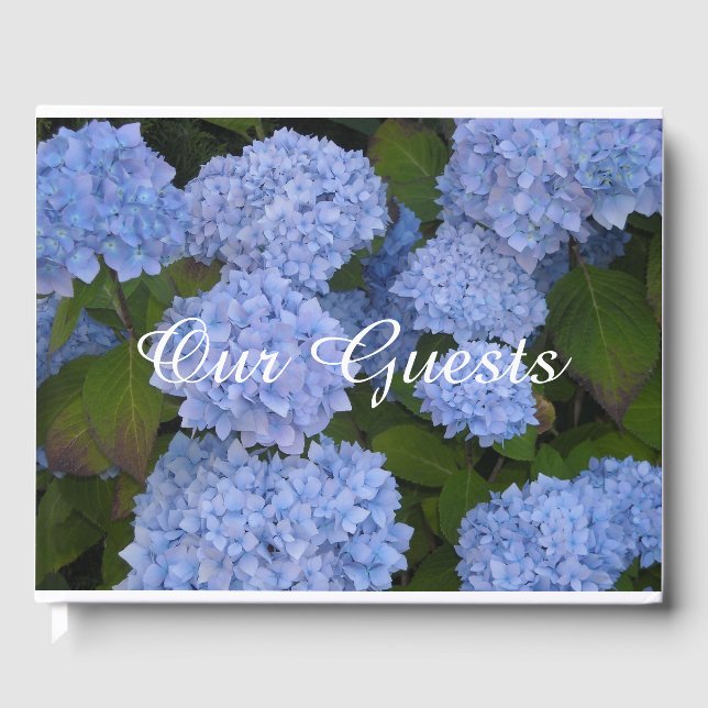 Livre D'or Hortensias Bleu Clair (Recto)