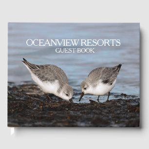 Livre D'or Hôtellerie de Raviers / Faune / Nature Resort
