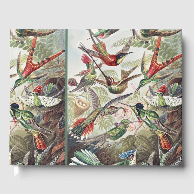 Livre D'or Hummingbird Bird Wildlife Classic Painting (Recto)