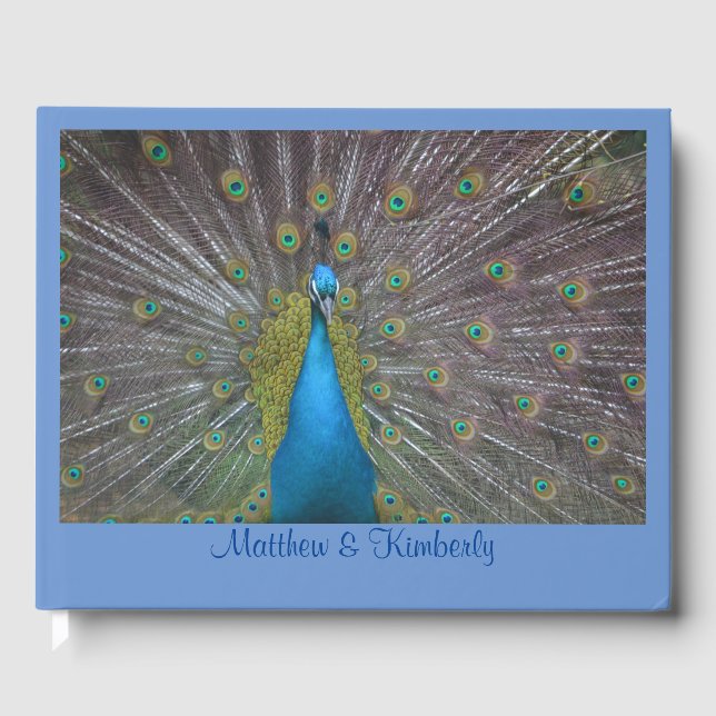 Livre D'or Joli Peacock (Recto)