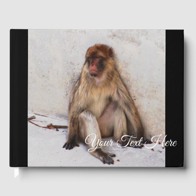 Livre D'or Lazy Monkey (Recto)