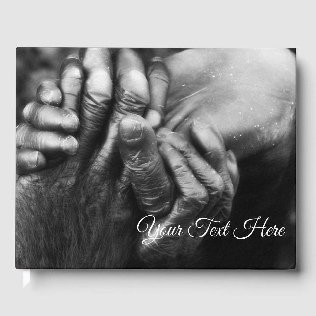 Livre D'or Les mains de Koko (Recto)