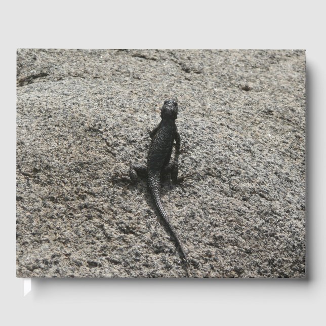 Livre D'or Lézard noir (Recto)