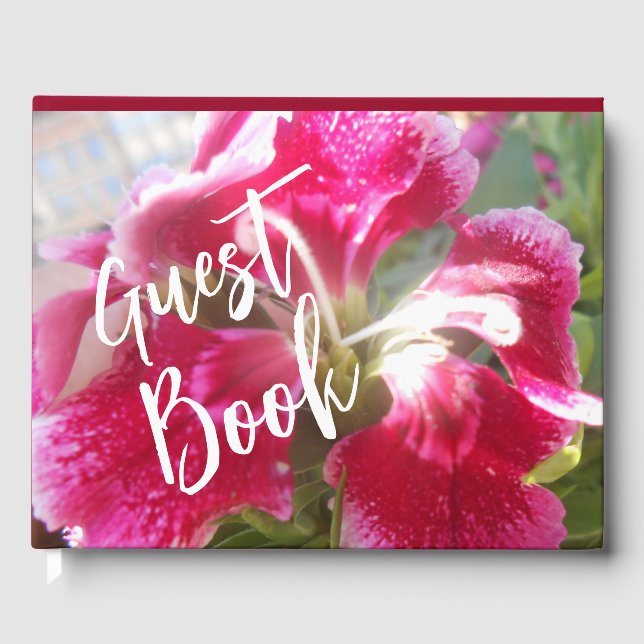 Livre D'or Lodovica (Recto)