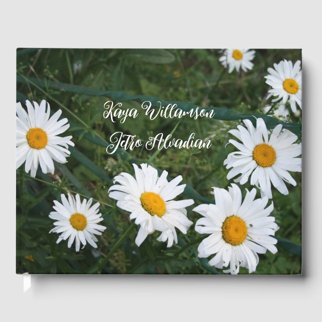 Livre d'or Marguerites d'été (Recto)