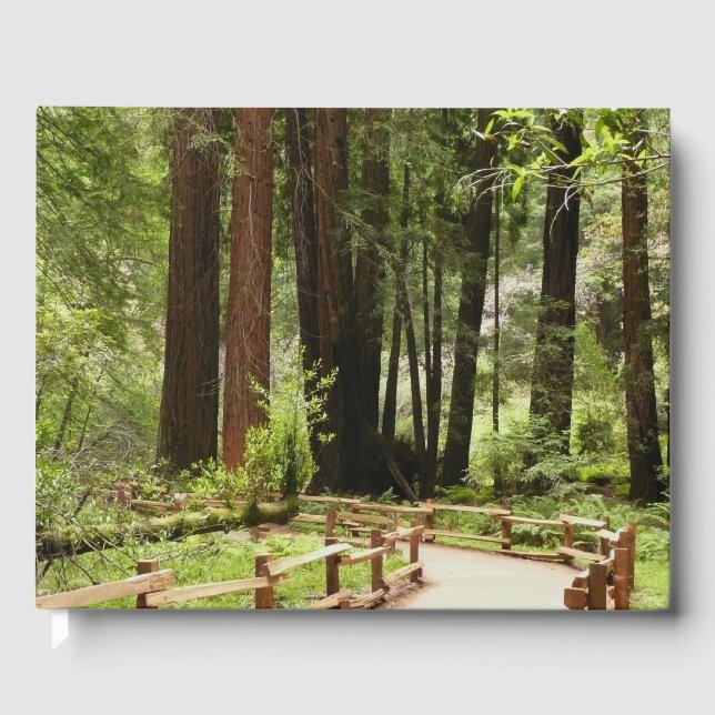Livre D'or Muir Woods Chemin I Nature Photographie (Recto)