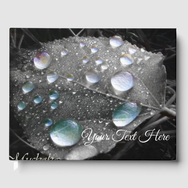 Livre D'or Muskoka Dew Drops (Recto)