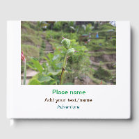 Nature plante photographie plage eau nom de voyage