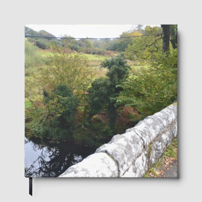 Livre D'or nature way of impersonating animals (Recto)