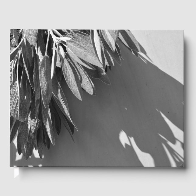 Livre D'or Niveaux de gris fraichement coupés (Recto)