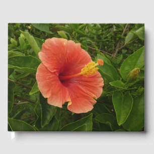 Livre D'or Orange Hibiscus Fleur Tropical Floral