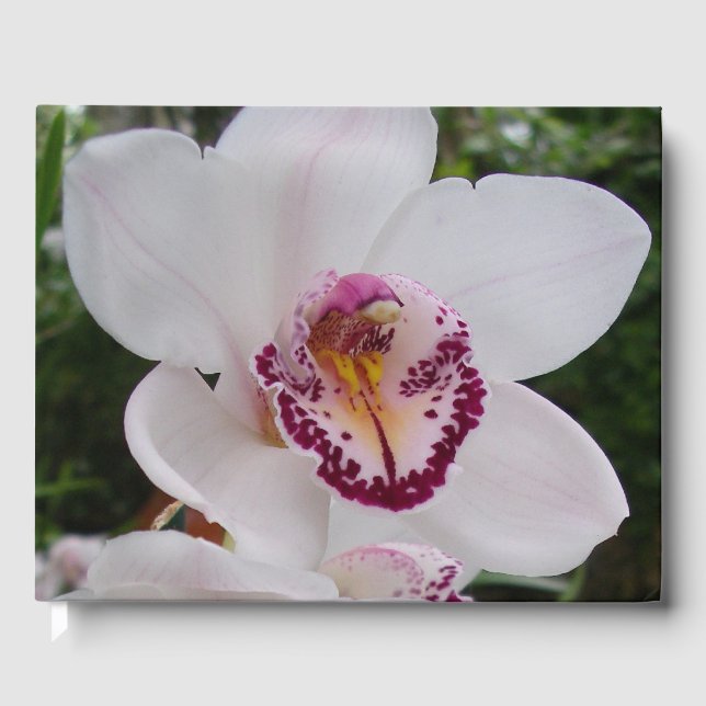 Livre D'or Orchidée Blanche I Belle Fleur Tropicale (Recto)