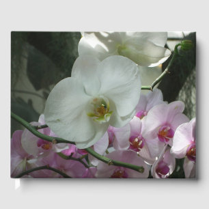 Livre D'or Orchidées blanches et violettes