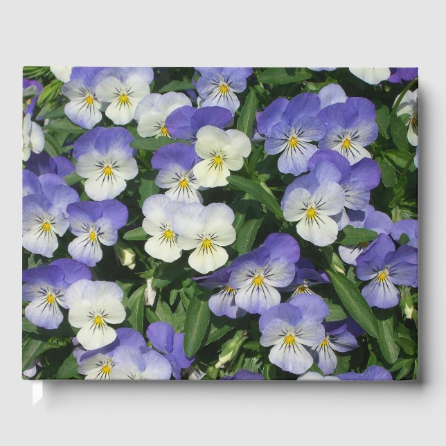 Livre D'or Pansies violettes Jardin Floral (Recto)