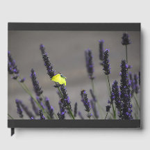 Papillon Jaune sur Photo Macro de Lavande Violette