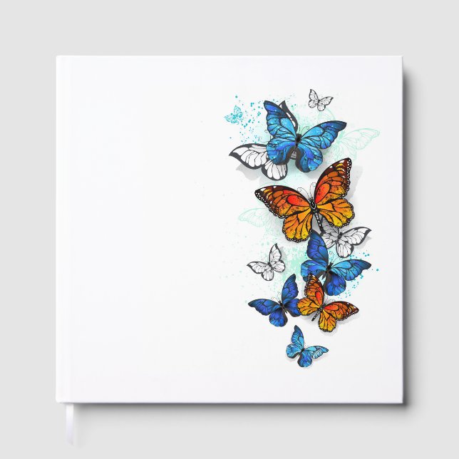 Livre D'or Papillons volants Morpho et Monarch (Recto)