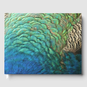 Livre D'or Peacock Plumes I Colorful Abstrait Nature Design