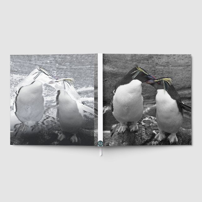 Livre D'or Penguin Colour Splash (Complet)