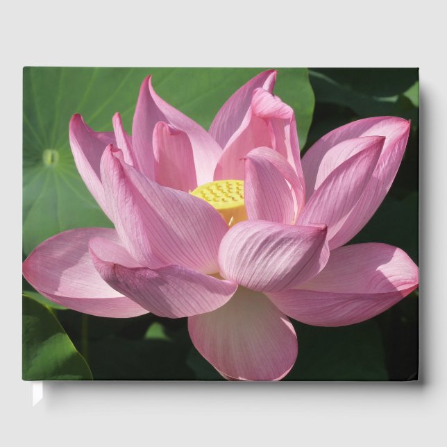 Livre D'or Pink Lotus Flower IV (Recto)