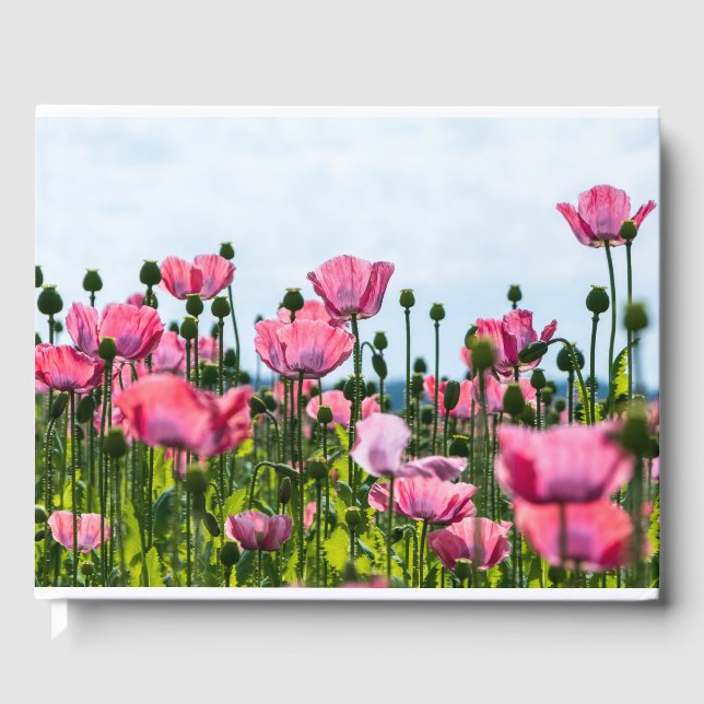 Livre D'or Poppies roses (Recto)
