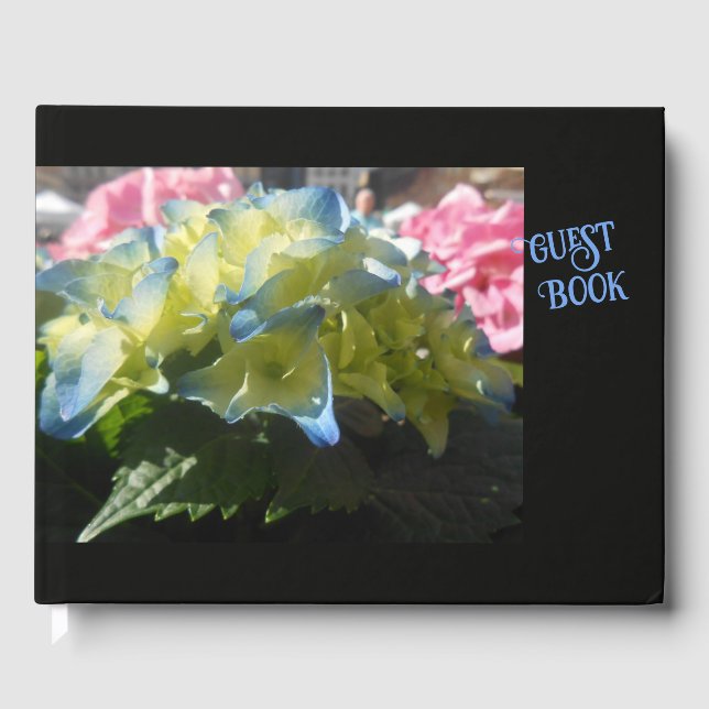 Livre D'or Printemps en fleurs (Recto)