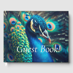 Livre D'or Profil Peacock
