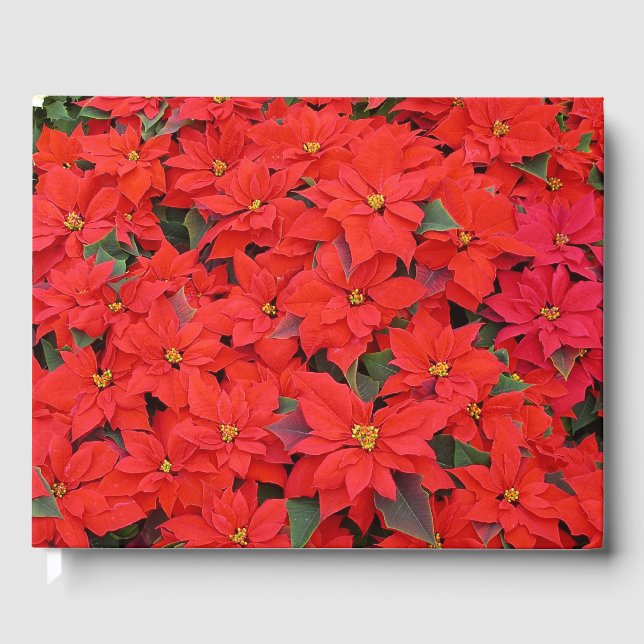 Livre D'or Red Poinsettias I Christmas Holiday Floral Photo (Recto)