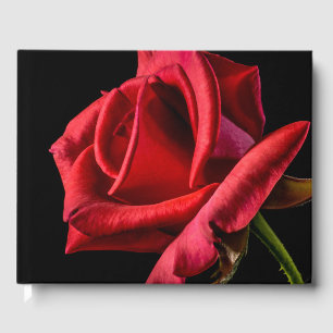 Livre D'or Rose rouge contre Arrière - plan noir