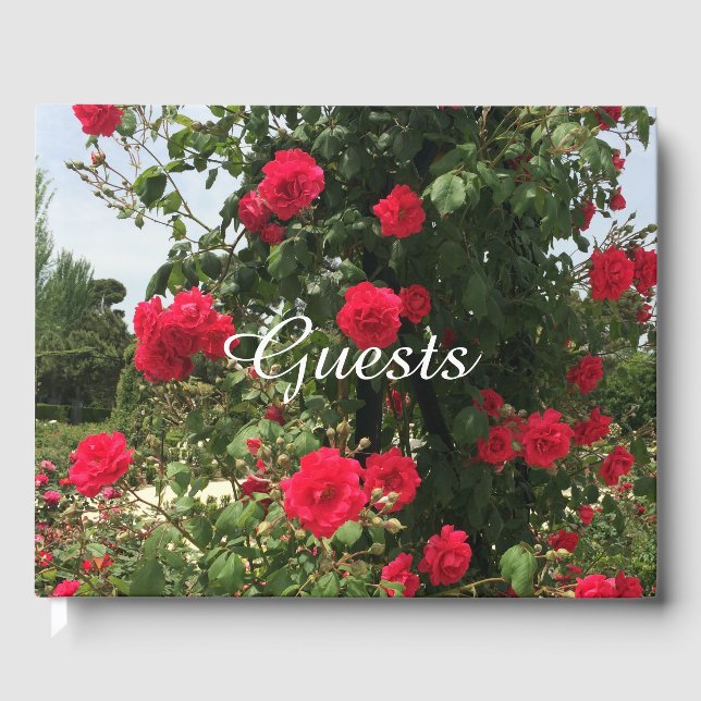 Livre D'or Roses Rouges Élégantes Grimpantes (Recto)