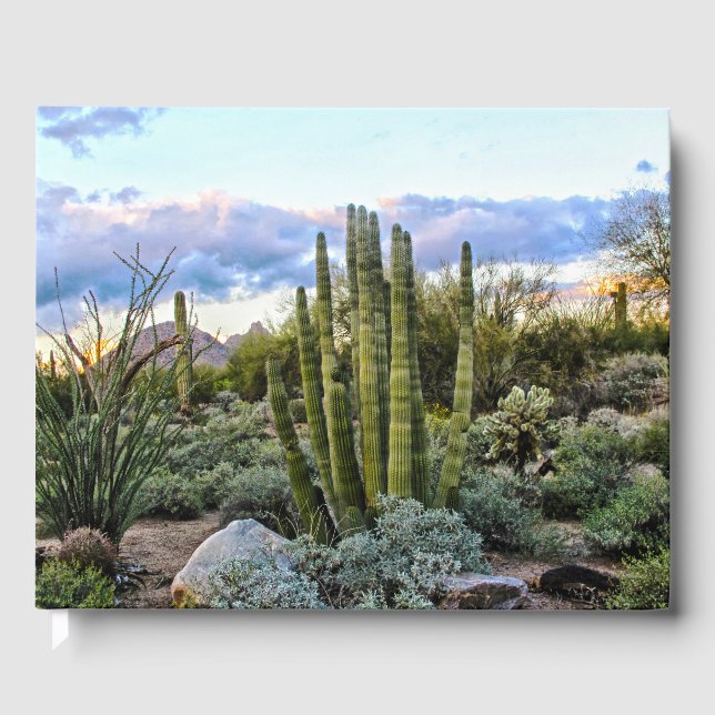 Livre D'or Scottsdale Succulent Sunset (Recto)