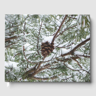 Livre D'or Snowy Pine Cône II hiver Photographie de la nature